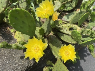 Come and tell us your dull and unexciting news 33: Calmly through the day