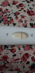 Boots 5 day early test. Evap/indent?