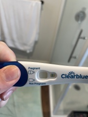 Potentially pregnant -line eyes help