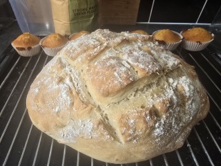 Daily Project round 7