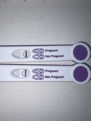 Are these positive?