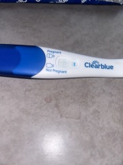 11DPO Test