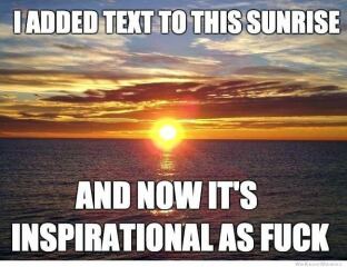This made me howl laughing.  Anyone else heard a funny joke or seen a funny meme?