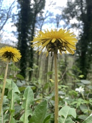 The Bluestocking Women’s Pub - Where Everybody Knows Your Username