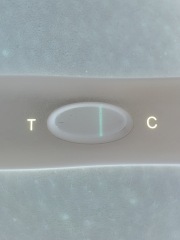 Tww June 2025🩷🩵