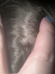 Id this nits?