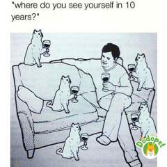 This made me howl laughing.  Anyone else heard a funny joke or seen a funny meme?