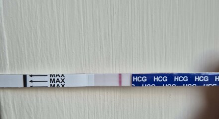 Due February 2026 ✨