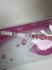 13dpo line progression