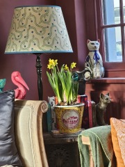What are colour trends for living room 2025? Seriously need to update and have zero idea!