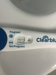 Clear blue evaps, would they have blue to them?