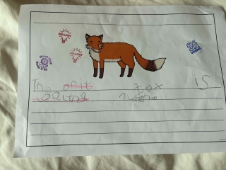 Writing reception