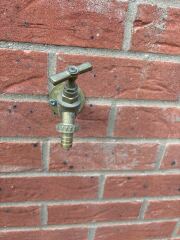Any gardeners that can help please?