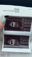 Anyone any good at ramzi?