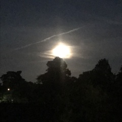 The Bluestocking Women’s Pub - Where Everybody Knows Your Username