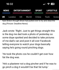 How rational is it to be worried about dog theft from unclipping of leads?