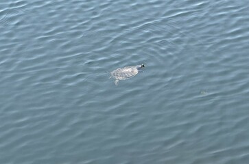 Come and tell us your dull and unexciting news 33: Calmly through the day