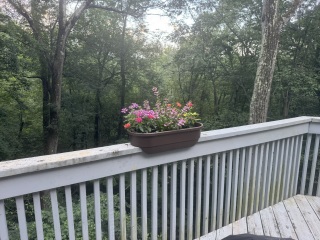 Come and tell us your dull and unexciting news 34: Calmly through the day