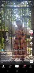 Anyone seen a dupe of this Toast dress?