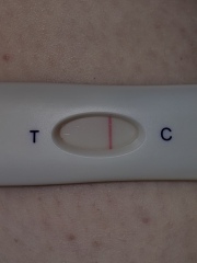 Tww June 2025🩷🩵