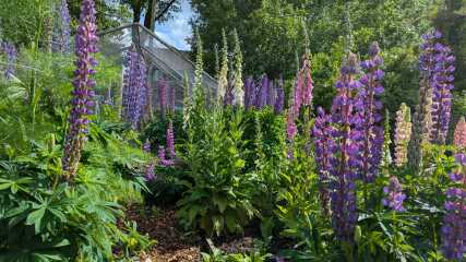 Year round Nigel Slater discussion thread Part 2