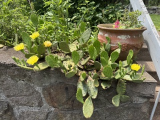 Come and tell us your dull and unexciting news 33: Calmly through the day