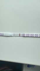 Positive negative or evap?