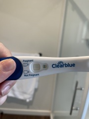 Potentially pregnant -line eyes help