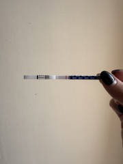 HELP! EVAP or positive test at 11DPO