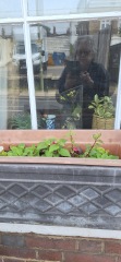 Peat free compost?