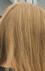 Box dye grey cover bronze nightmare