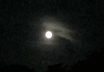 The Bluestocking Women’s Pub - Where Everybody Knows Your Username