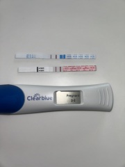 Due February 2026 ✨