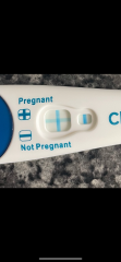 Clear Blue Plus Test Q