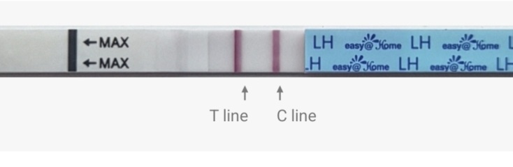 In the dreaded 2 week wait