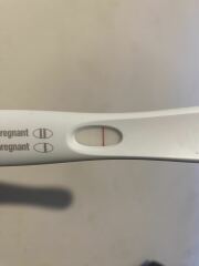 Tww June 2025🩷🩵