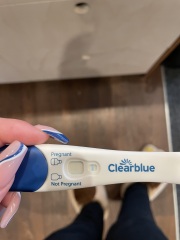 Potentially pregnant -line eyes help