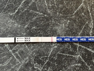 Any impatient early testers want to join me this TWW?