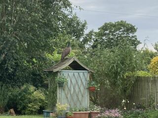 The Bluestocking Women’s Pub - Where Everybody Knows Your Username