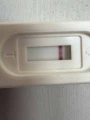 Potential pregnancy?