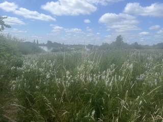 The One after the One where the Excellent Cats posed for a calendar