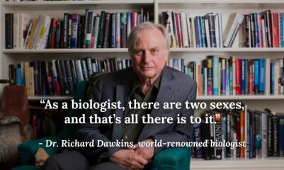 "We have always been here"