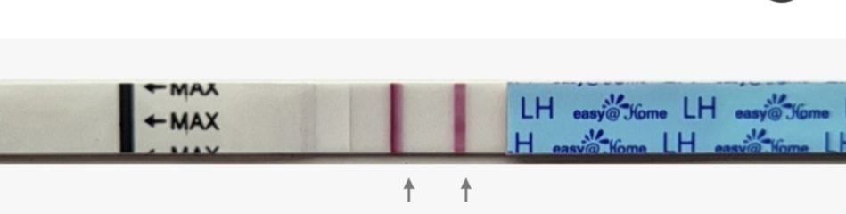 In the dreaded 2 week wait