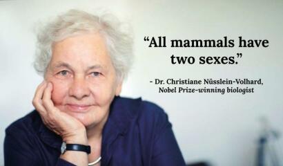 "We have always been here"