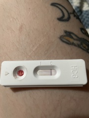 Self Check Blood Test