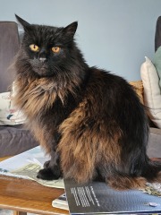 Thread 25 Starmer - Cheers for a falling out among thieves