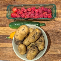 The Vegetable Patch 2024/2025