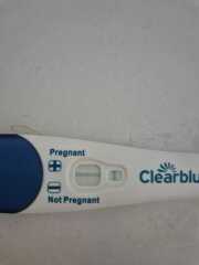 Due February 2026 ✨