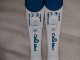 What do you think of these tests