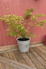 What's wrong with my Acer?